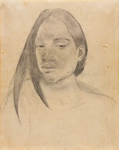 Head of a Tahitian Woman (Drawing, 1891) Paul Gauguin